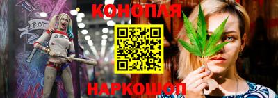 крисы Шахты