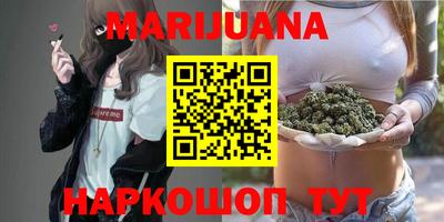 крисы Шахты