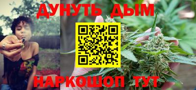 крисы Шахты