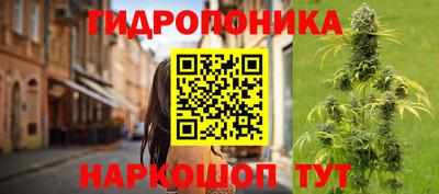 мяу мяу мука Азнакаево