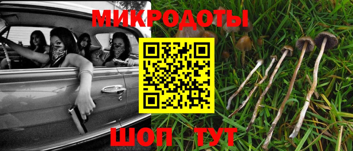 Галлюциногенные грибы прущие грибы  купить наркотики сайты  Александров  Галлюциногенные грибы прущие грибы 