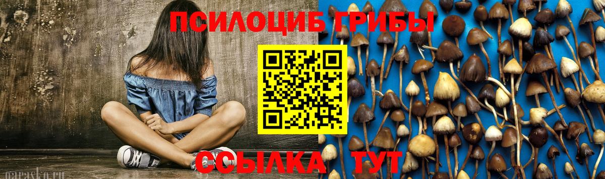 Псилоцибиновые грибы MAGIC MUSHROOMS Александров